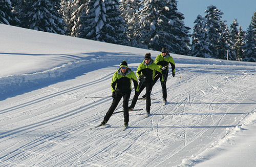 langlauf skating1